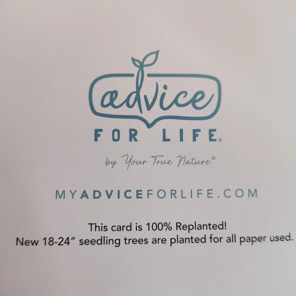 Advice For Life Penguin Greeting Card Inspirational Message - Blank‎ Inside